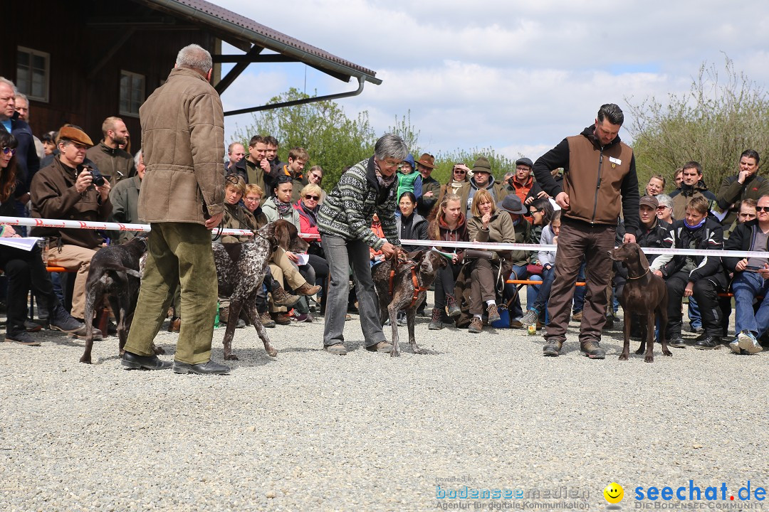 Jagdhundetag Dornsberg der Landesjagdschule: Eigeltingen, 23.04.2017