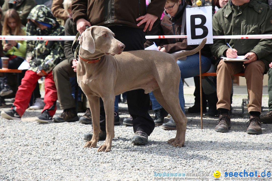 Jagdhundetag Dornsberg der Landesjagdschule: Eigeltingen, 23.04.2017