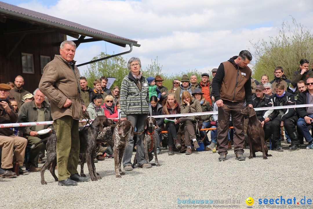 Jagdhundetag Dornsberg der Landesjagdschule: Eigeltingen, 23.04.2017