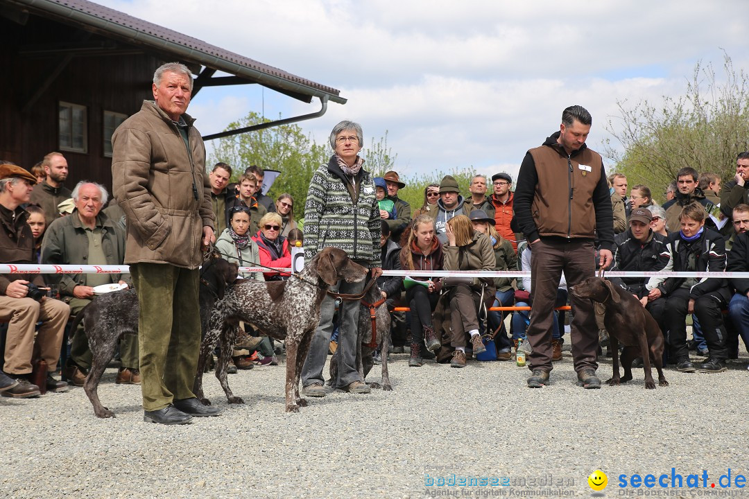 Jagdhundetag Dornsberg der Landesjagdschule: Eigeltingen, 23.04.2017