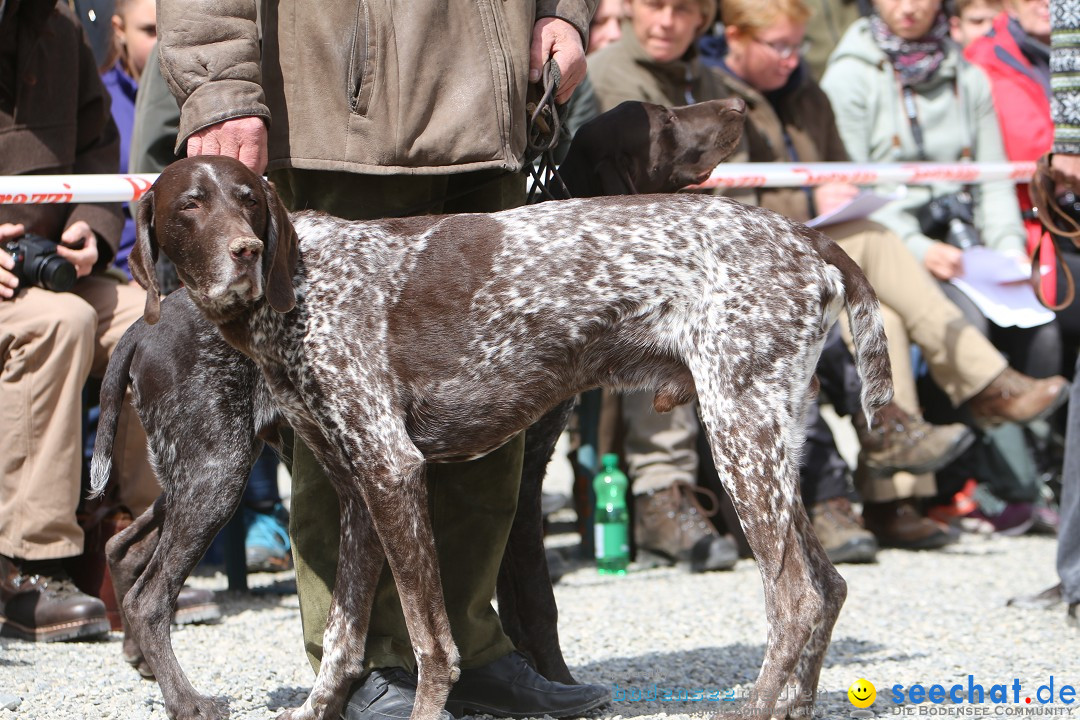 Jagdhundetag Dornsberg der Landesjagdschule: Eigeltingen, 23.04.2017