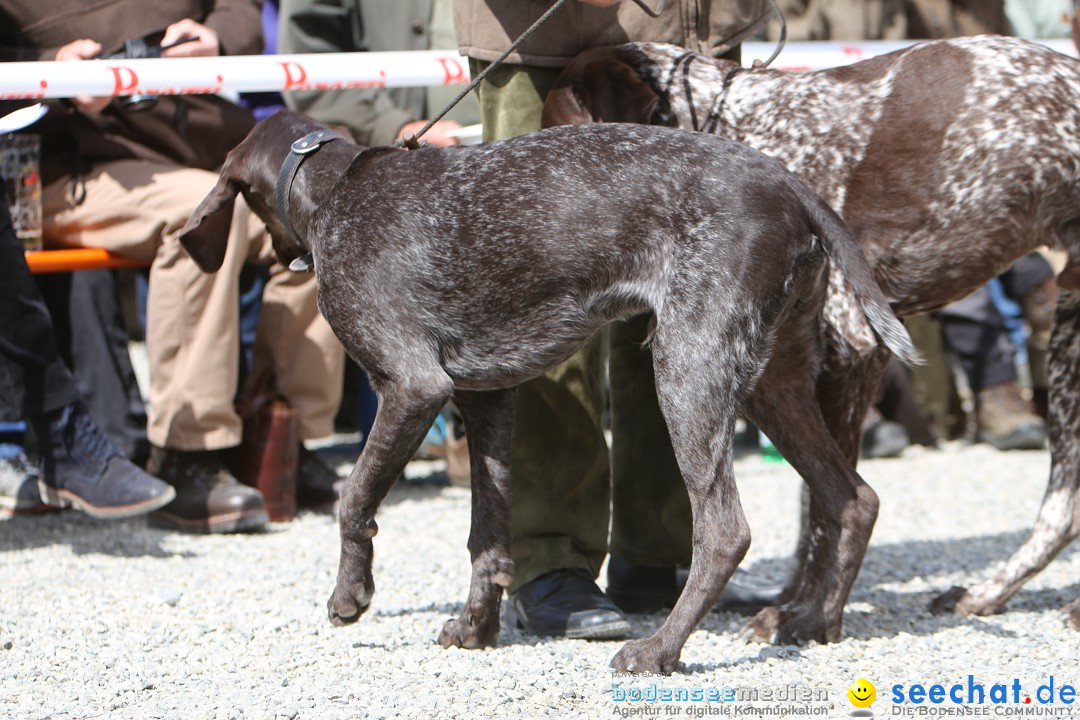 Jagdhundetag Dornsberg der Landesjagdschule: Eigeltingen, 23.04.2017