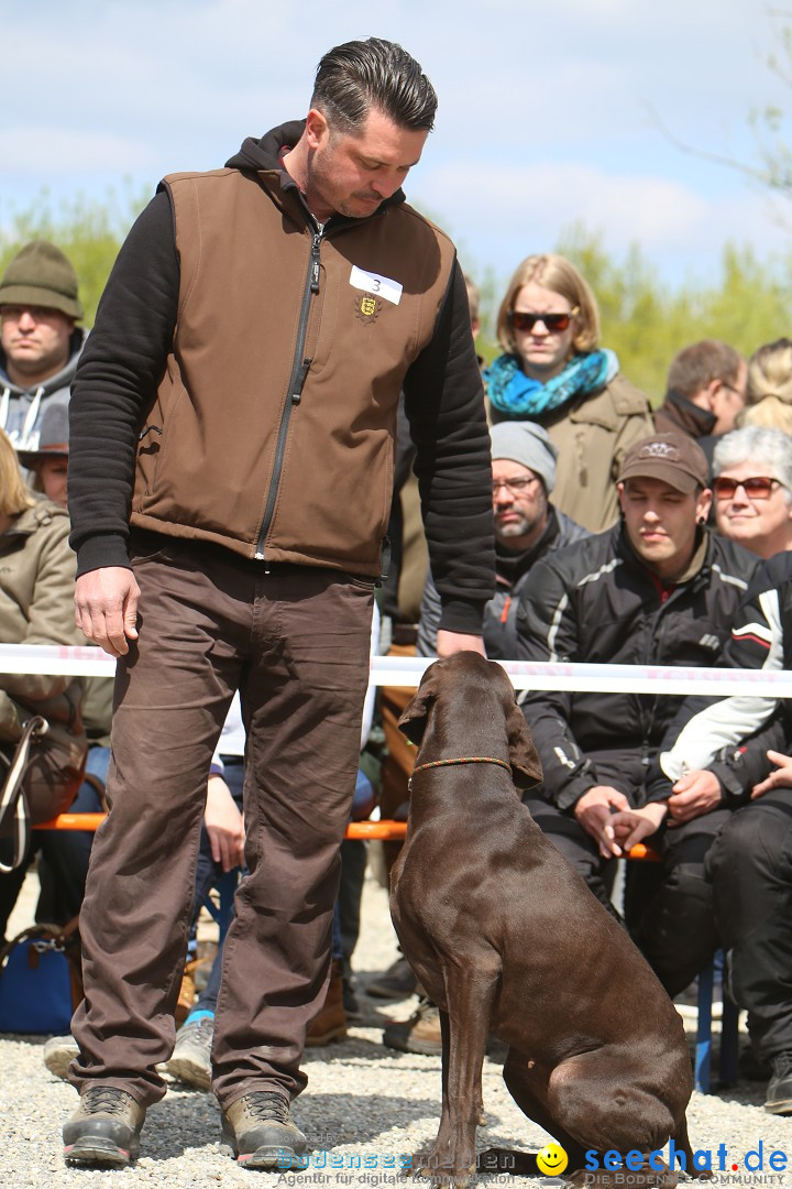 Jagdhundetag Dornsberg der Landesjagdschule: Eigeltingen, 23.04.2017