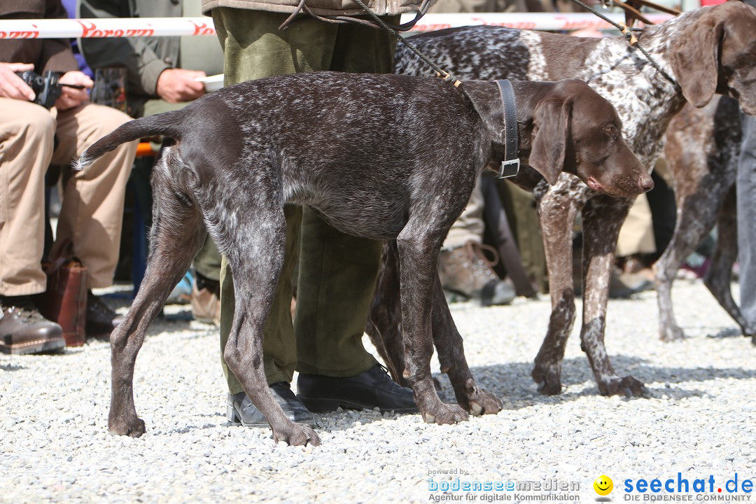 Jagdhundetag Dornsberg der Landesjagdschule: Eigeltingen, 23.04.2017