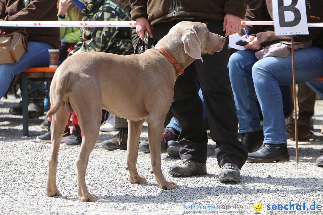 Jagdhundetag Dornsberg der Landesjagdschule: Eigeltingen, 23.04.2017