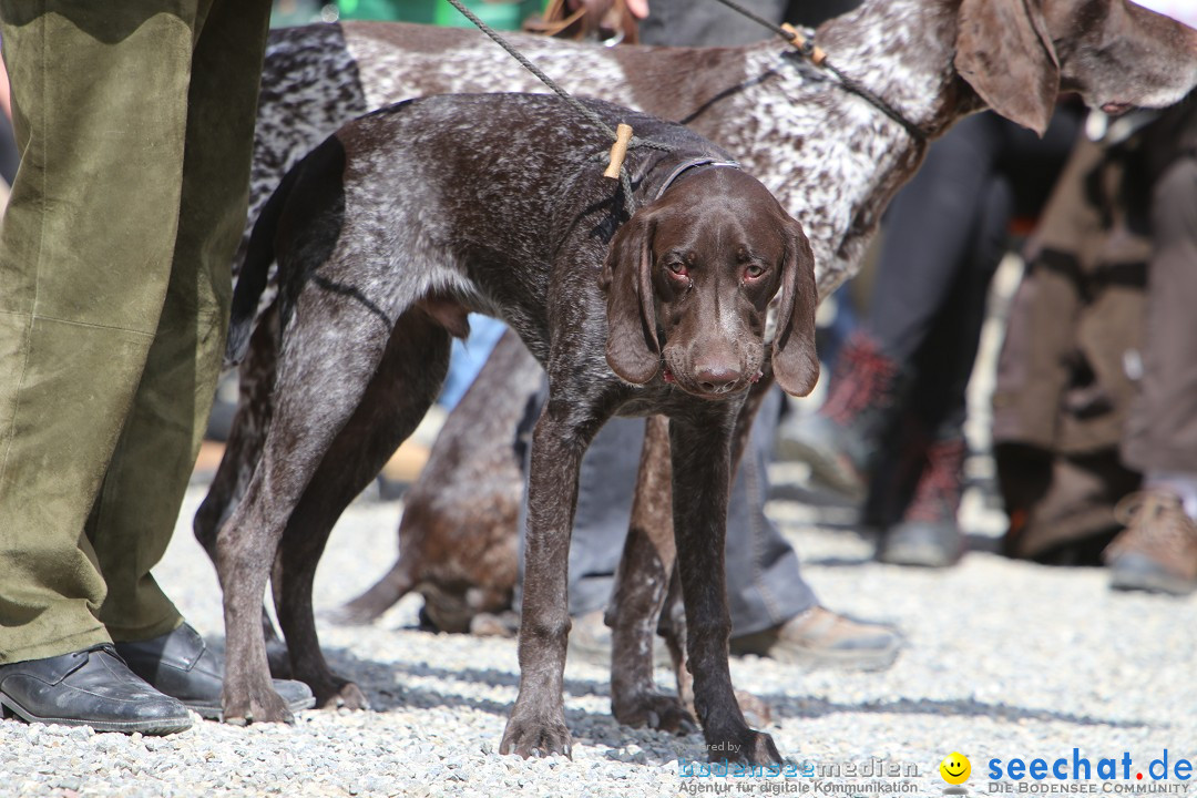 Jagdhundetag Dornsberg der Landesjagdschule: Eigeltingen, 23.04.2017