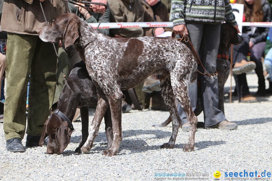 Jagdhundetag Dornsberg der Landesjagdschule: Eigeltingen, 23.04.2017