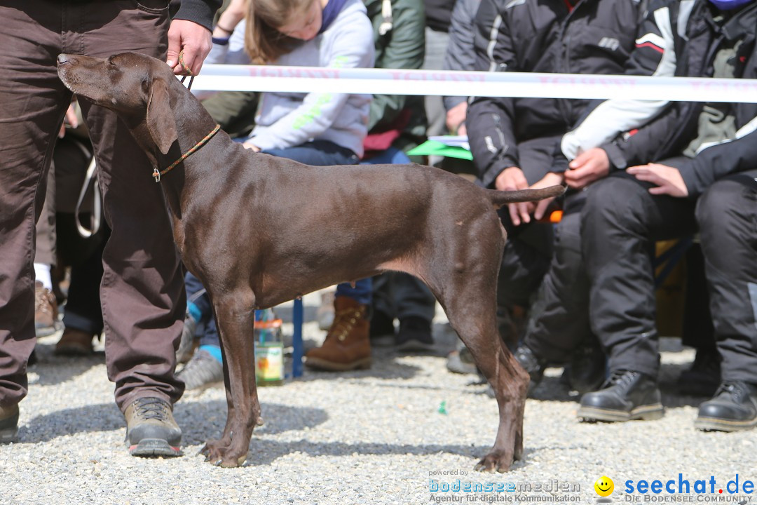 Jagdhundetag Dornsberg der Landesjagdschule: Eigeltingen, 23.04.2017