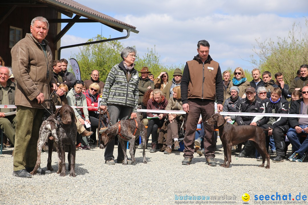 Jagdhundetag Dornsberg der Landesjagdschule: Eigeltingen, 23.04.2017