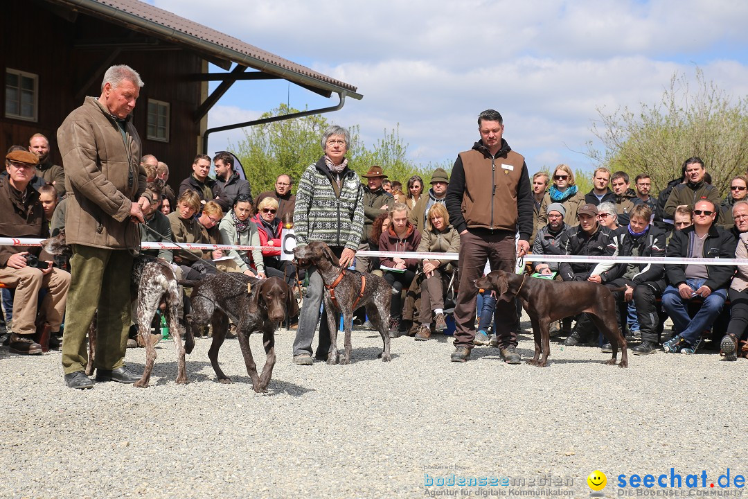 Jagdhundetag Dornsberg der Landesjagdschule: Eigeltingen, 23.04.2017