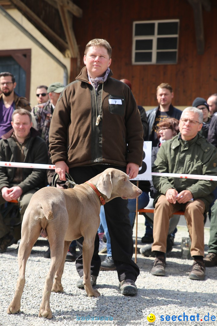 Jagdhundetag Dornsberg der Landesjagdschule: Eigeltingen, 23.04.2017