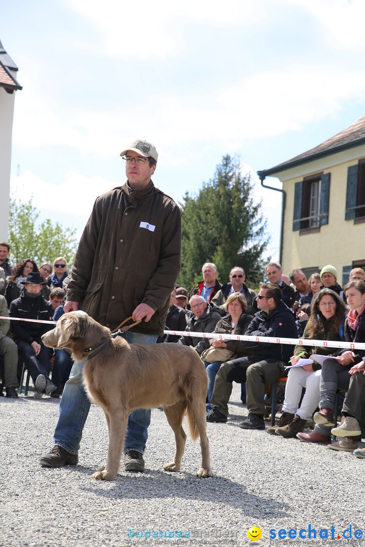 Jagdhundetag Dornsberg der Landesjagdschule: Eigeltingen, 23.04.2017