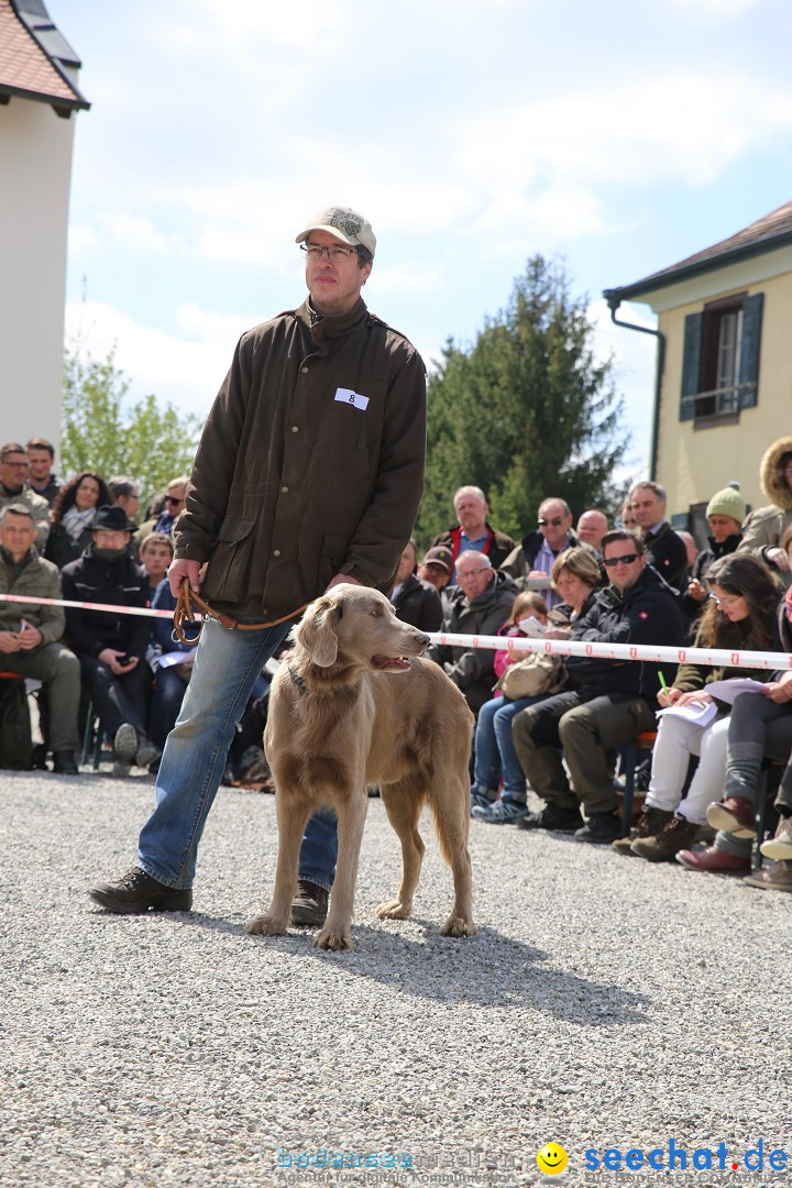 Jagdhundetag Dornsberg der Landesjagdschule: Eigeltingen, 23.04.2017