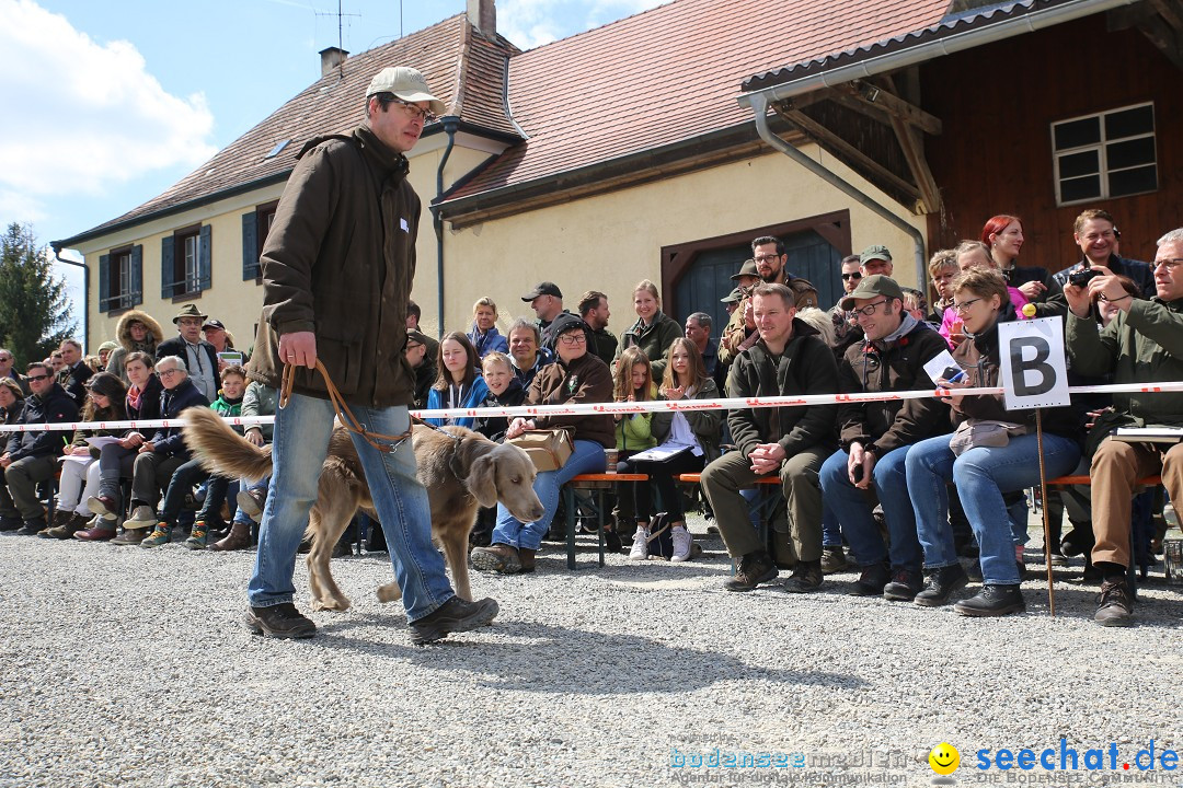 Jagdhundetag Dornsberg der Landesjagdschule: Eigeltingen, 23.04.2017