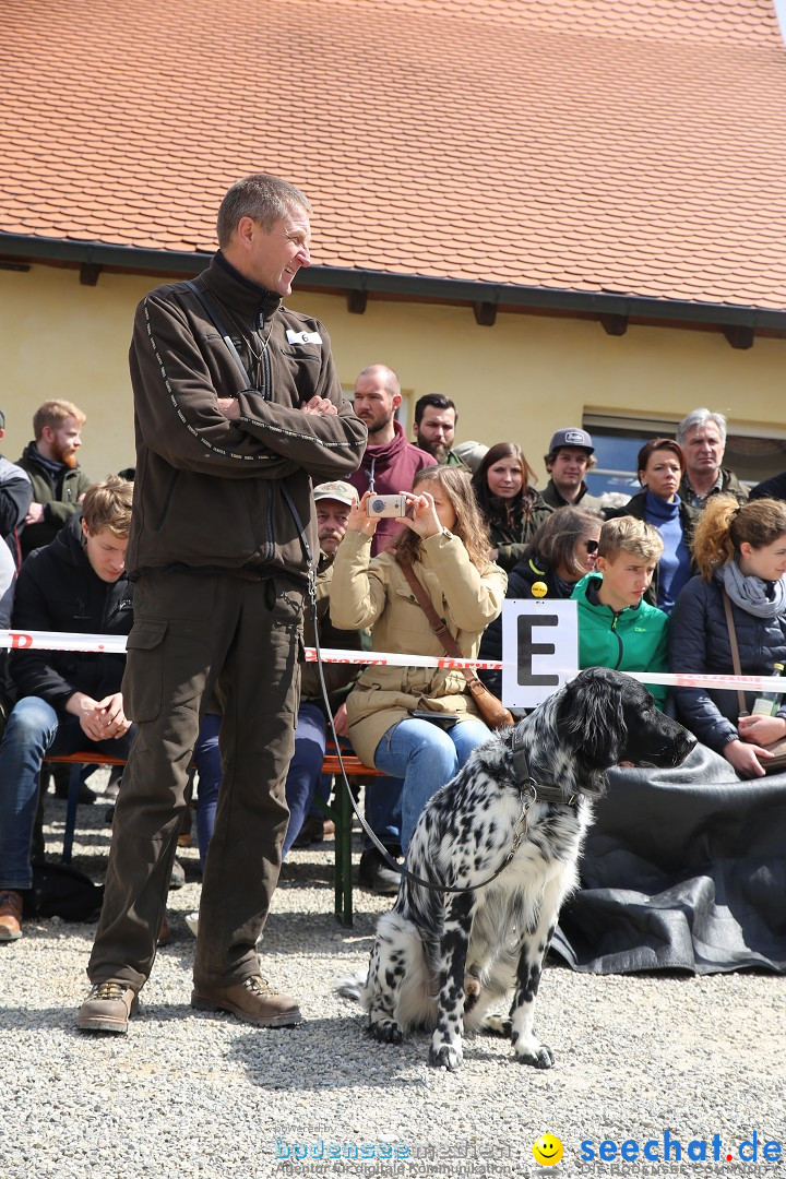 Jagdhundetag Dornsberg der Landesjagdschule: Eigeltingen, 23.04.2017