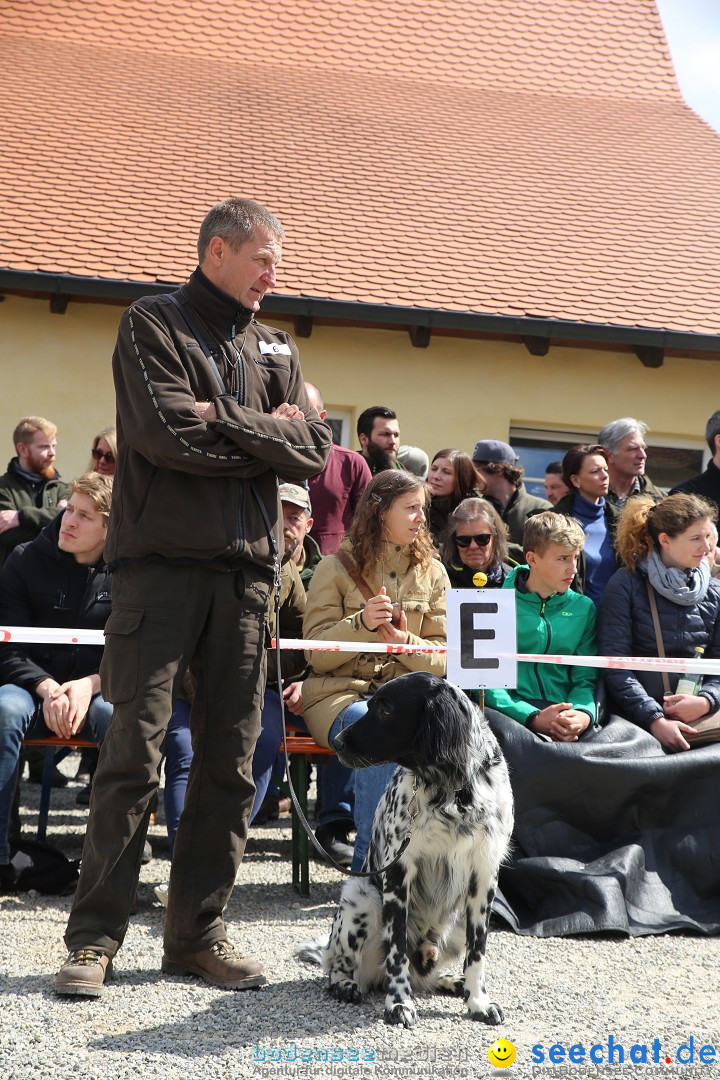 Jagdhundetag Dornsberg der Landesjagdschule: Eigeltingen, 23.04.2017