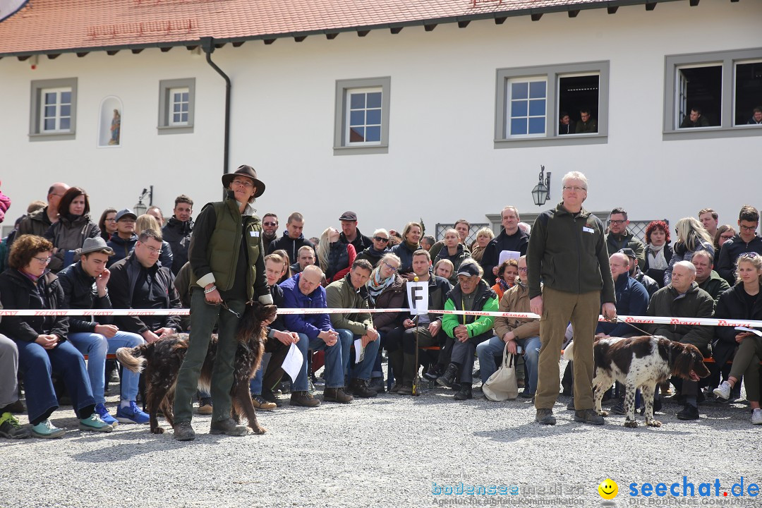 Jagdhundetag Dornsberg der Landesjagdschule: Eigeltingen, 23.04.2017