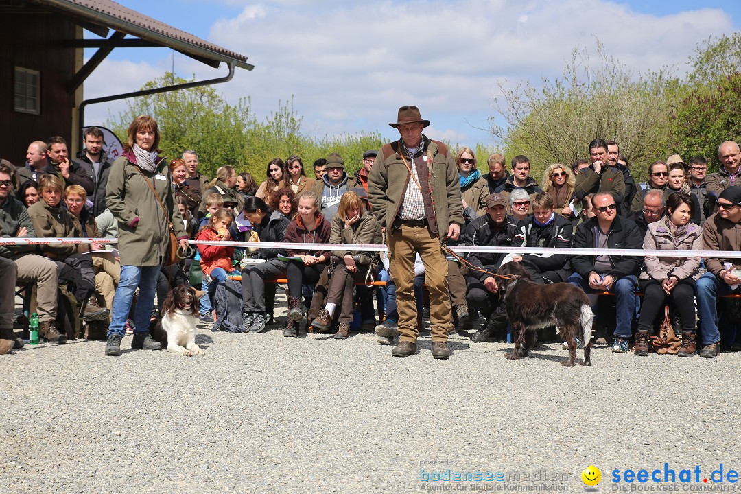 Jagdhundetag Dornsberg der Landesjagdschule: Eigeltingen, 23.04.2017