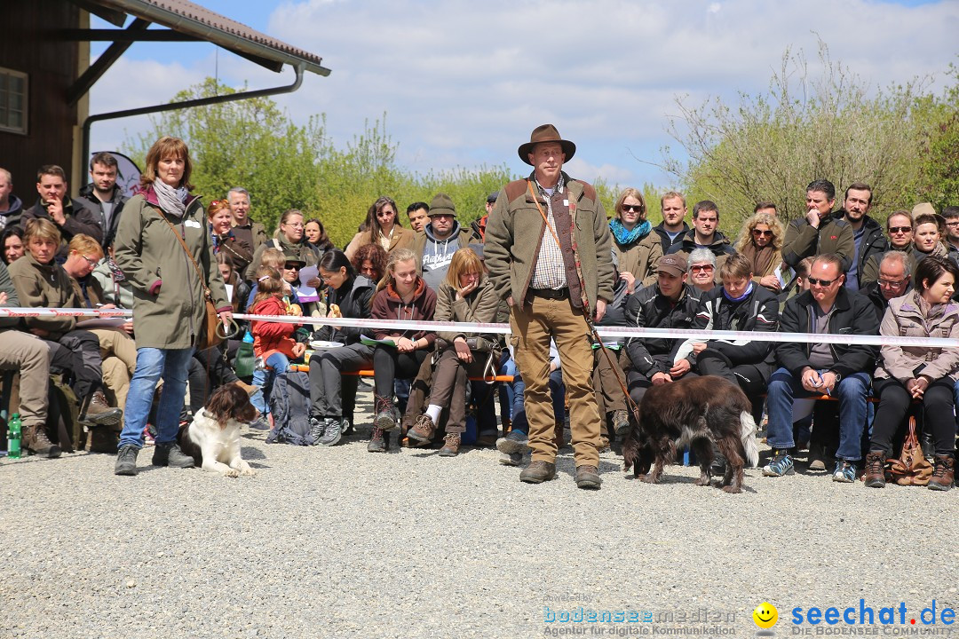 Jagdhundetag Dornsberg der Landesjagdschule: Eigeltingen, 23.04.2017