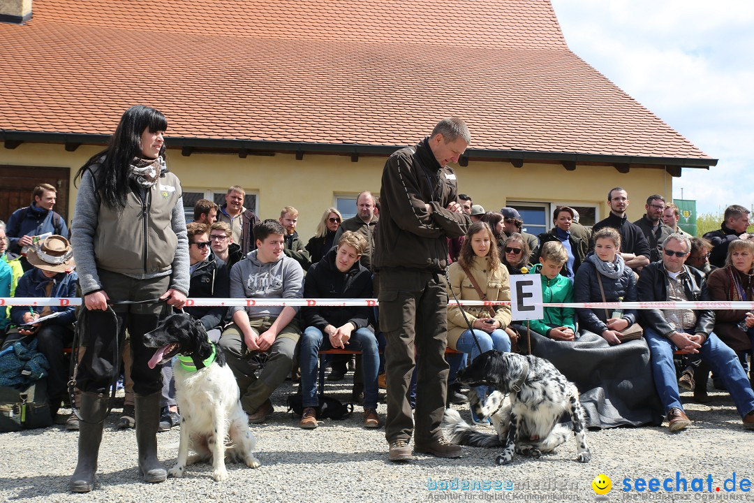 Jagdhundetag Dornsberg der Landesjagdschule: Eigeltingen, 23.04.2017