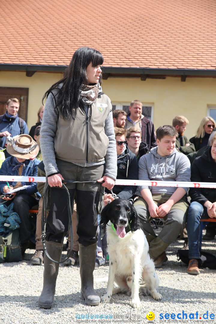 Jagdhundetag Dornsberg der Landesjagdschule: Eigeltingen, 23.04.2017