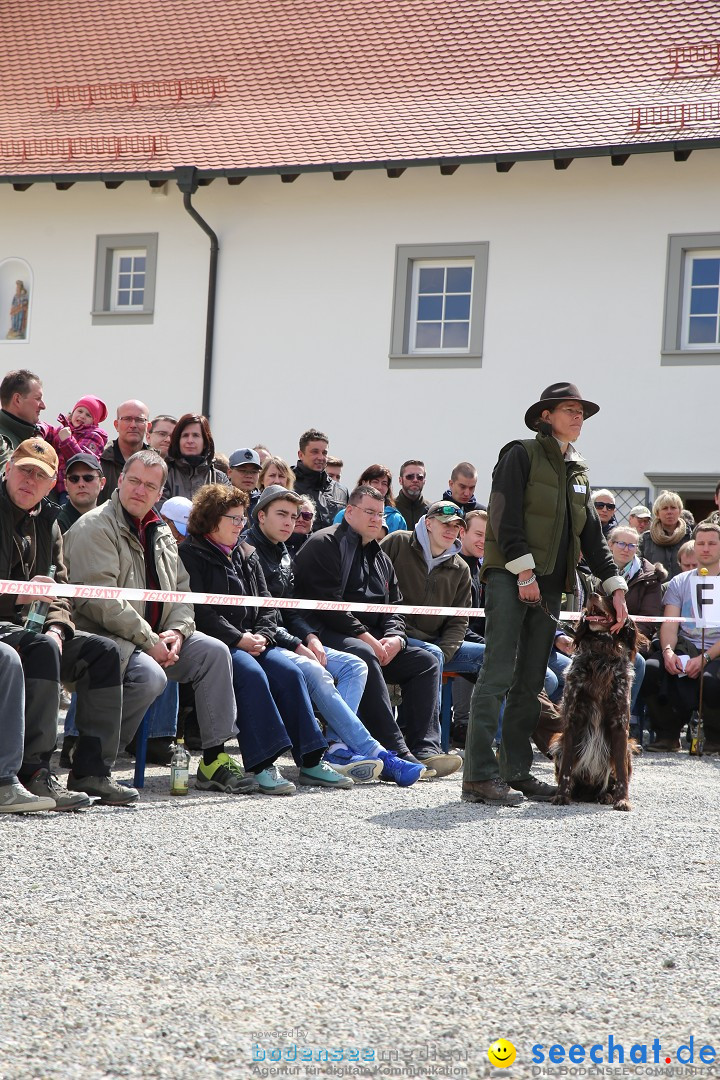 Jagdhundetag Dornsberg der Landesjagdschule: Eigeltingen, 23.04.2017