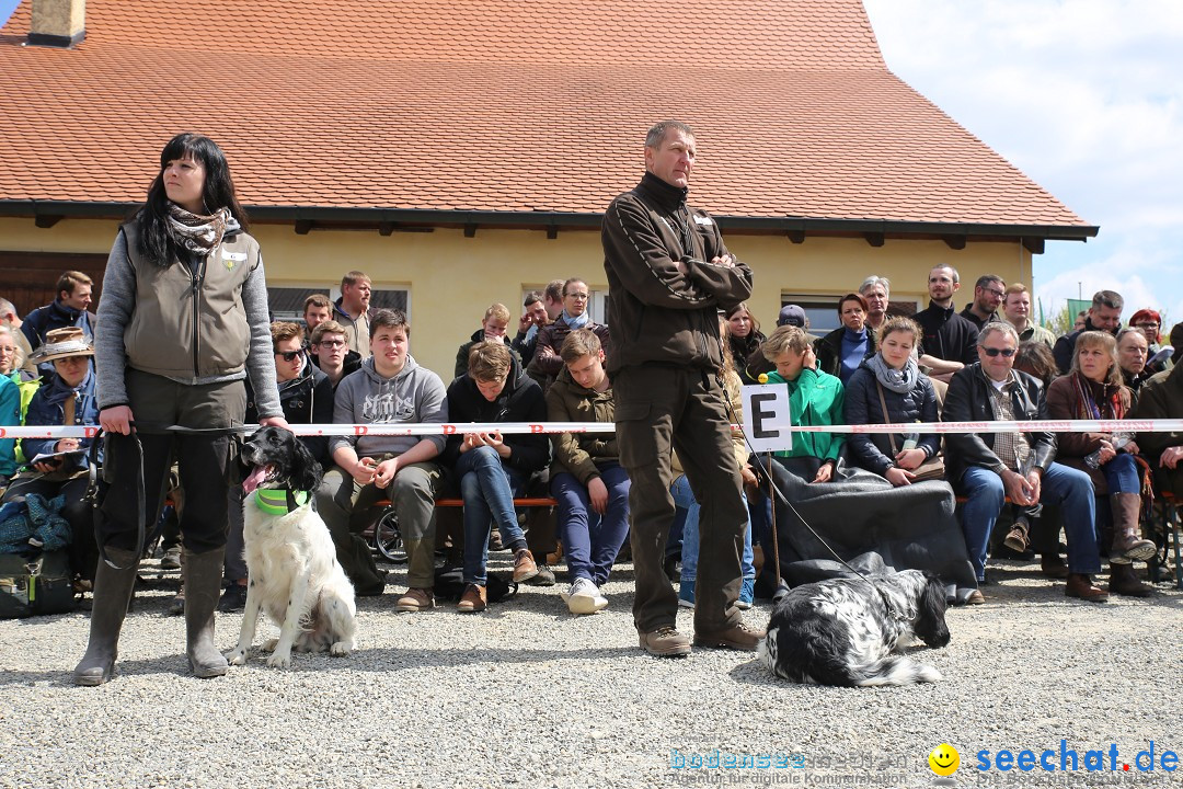 Jagdhundetag Dornsberg der Landesjagdschule: Eigeltingen, 23.04.2017