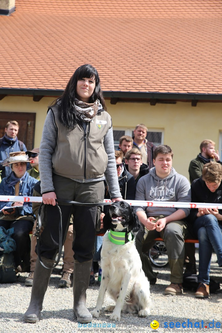 Jagdhundetag Dornsberg der Landesjagdschule: Eigeltingen, 23.04.2017