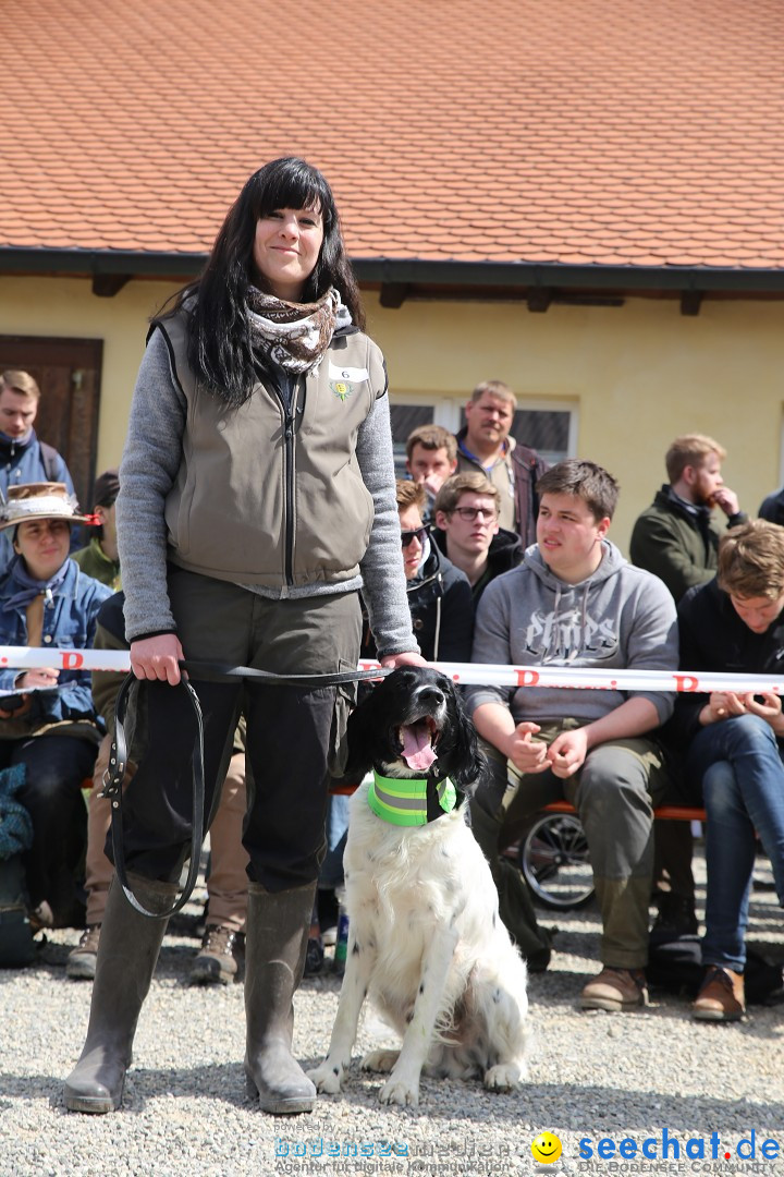 Jagdhundetag Dornsberg der Landesjagdschule: Eigeltingen, 23.04.2017