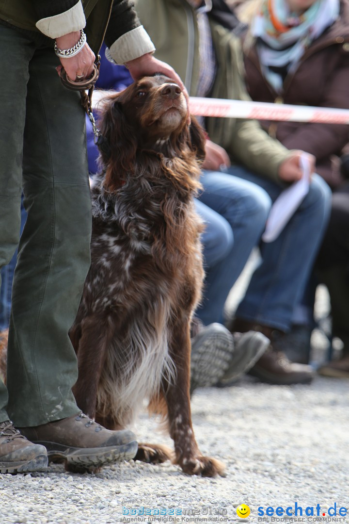 Jagdhundetag Dornsberg der Landesjagdschule: Eigeltingen, 23.04.2017