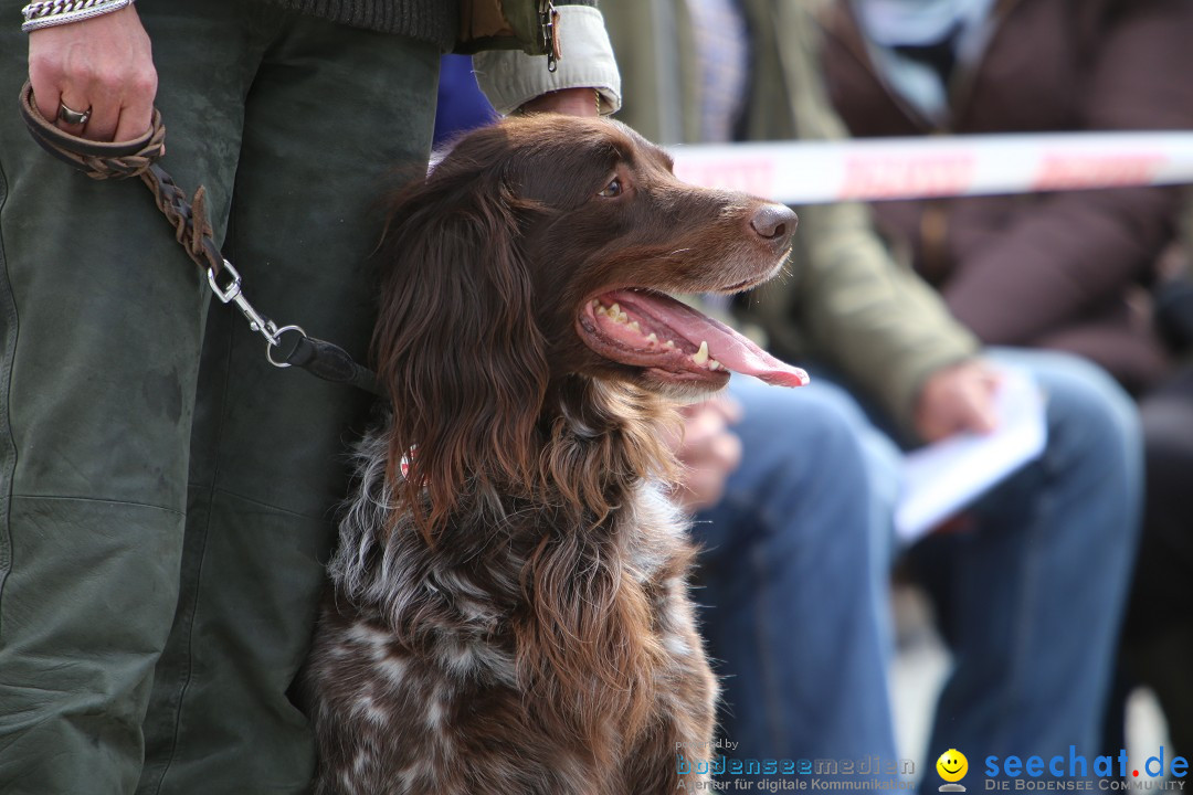 Jagdhundetag Dornsberg der Landesjagdschule: Eigeltingen, 23.04.2017