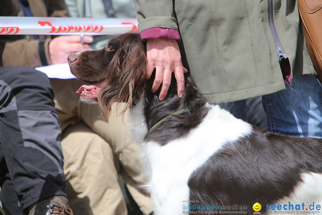 Jagdhundetag Dornsberg der Landesjagdschule: Eigeltingen, 23.04.2017