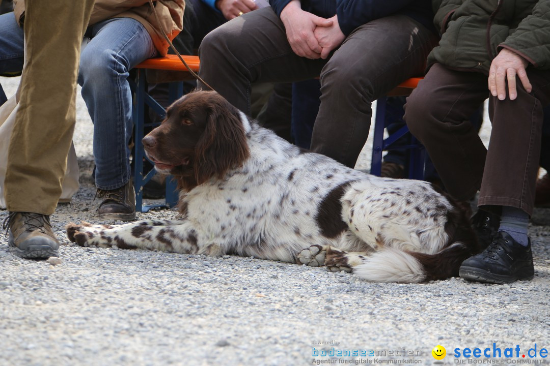 Jagdhundetag Dornsberg der Landesjagdschule: Eigeltingen, 23.04.2017