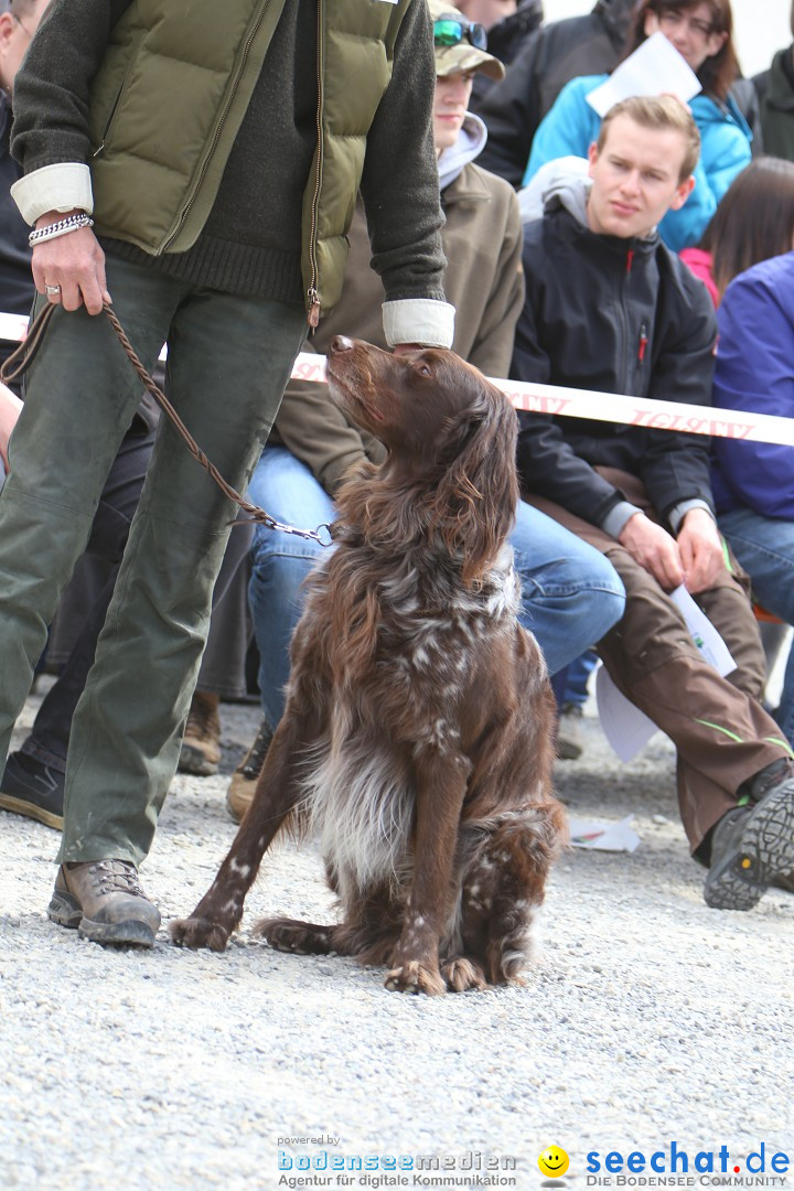 Jagdhundetag Dornsberg der Landesjagdschule: Eigeltingen, 23.04.2017