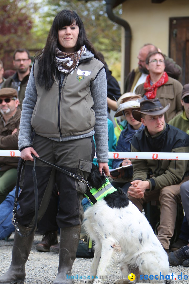 Jagdhundetag Dornsberg der Landesjagdschule: Eigeltingen, 23.04.2017