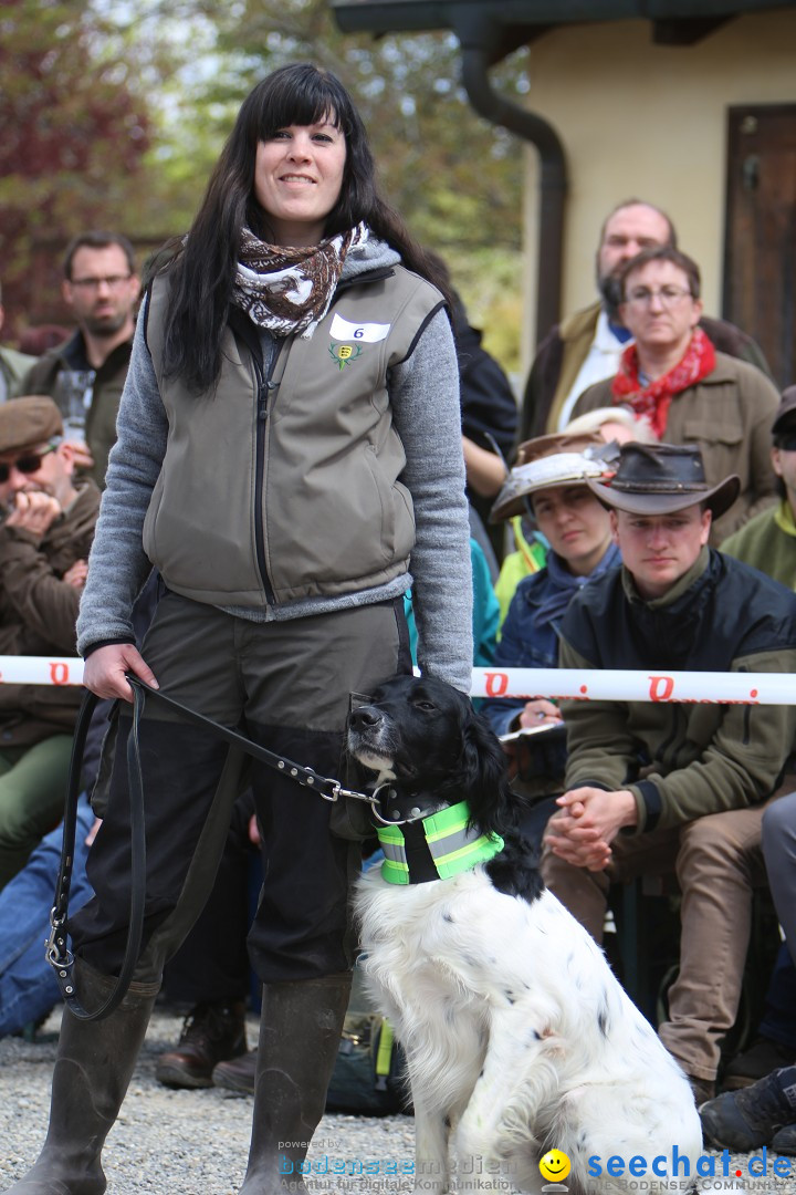 Jagdhundetag Dornsberg der Landesjagdschule: Eigeltingen, 23.04.2017