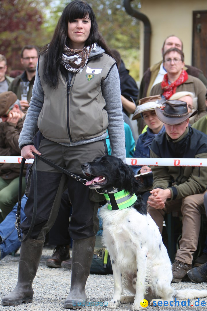 Jagdhundetag Dornsberg der Landesjagdschule: Eigeltingen, 23.04.2017