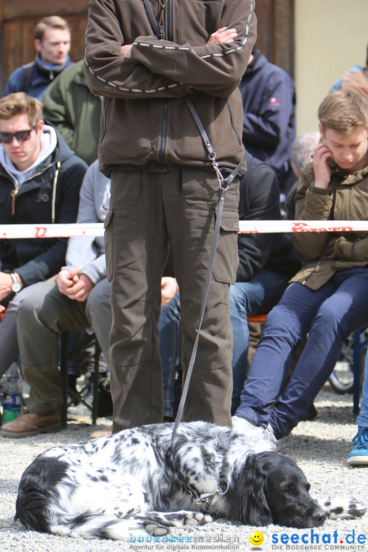 Jagdhundetag Dornsberg der Landesjagdschule: Eigeltingen, 23.04.2017