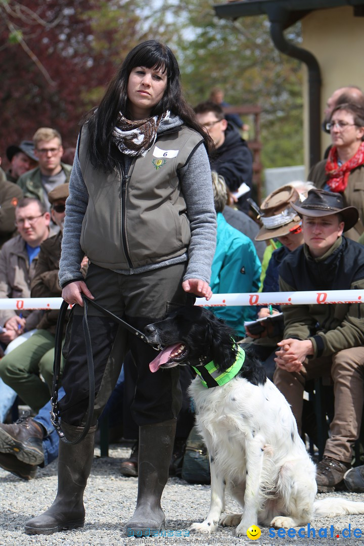 Jagdhundetag Dornsberg der Landesjagdschule: Eigeltingen, 23.04.2017