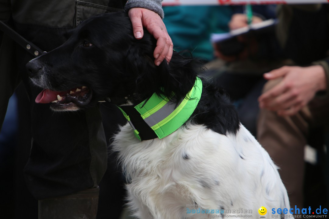 Jagdhundetag Dornsberg der Landesjagdschule: Eigeltingen, 23.04.2017