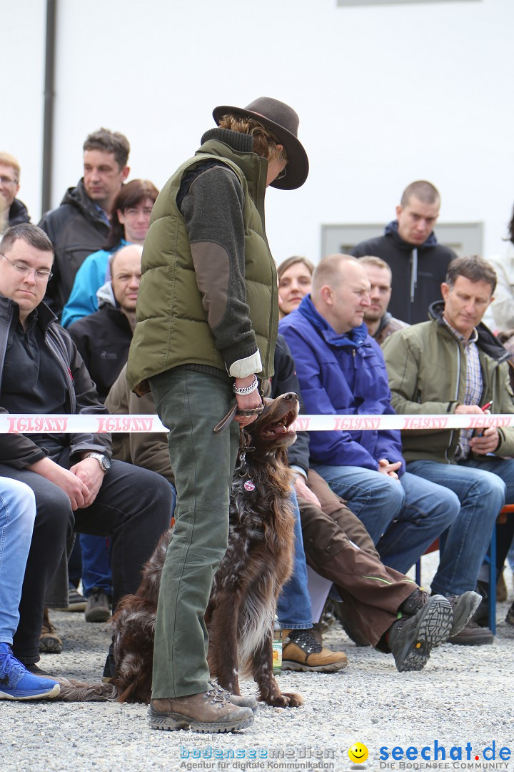 Jagdhundetag Dornsberg der Landesjagdschule: Eigeltingen, 23.04.2017