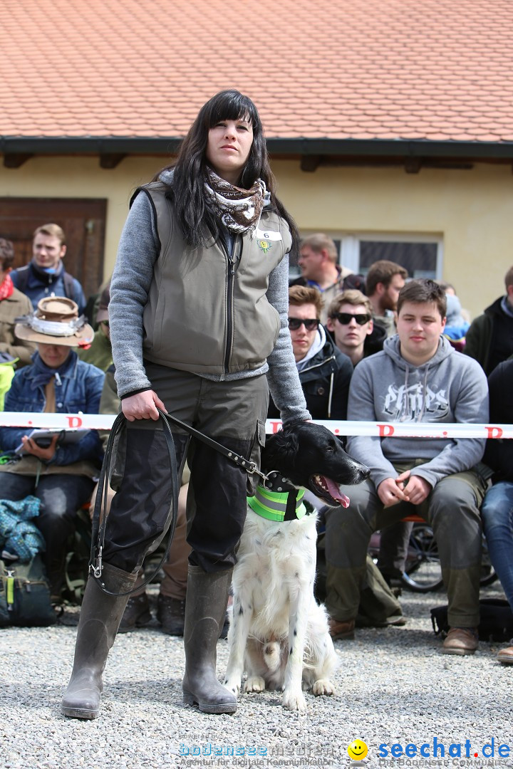 Jagdhundetag Dornsberg der Landesjagdschule: Eigeltingen, 23.04.2017