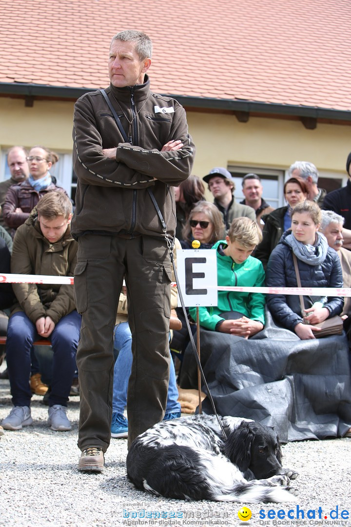 Jagdhundetag Dornsberg der Landesjagdschule: Eigeltingen, 23.04.2017