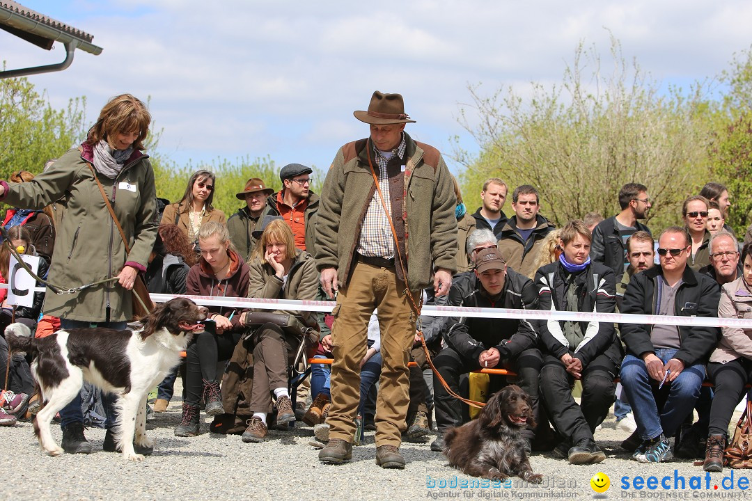 Jagdhundetag Dornsberg der Landesjagdschule: Eigeltingen, 23.04.2017