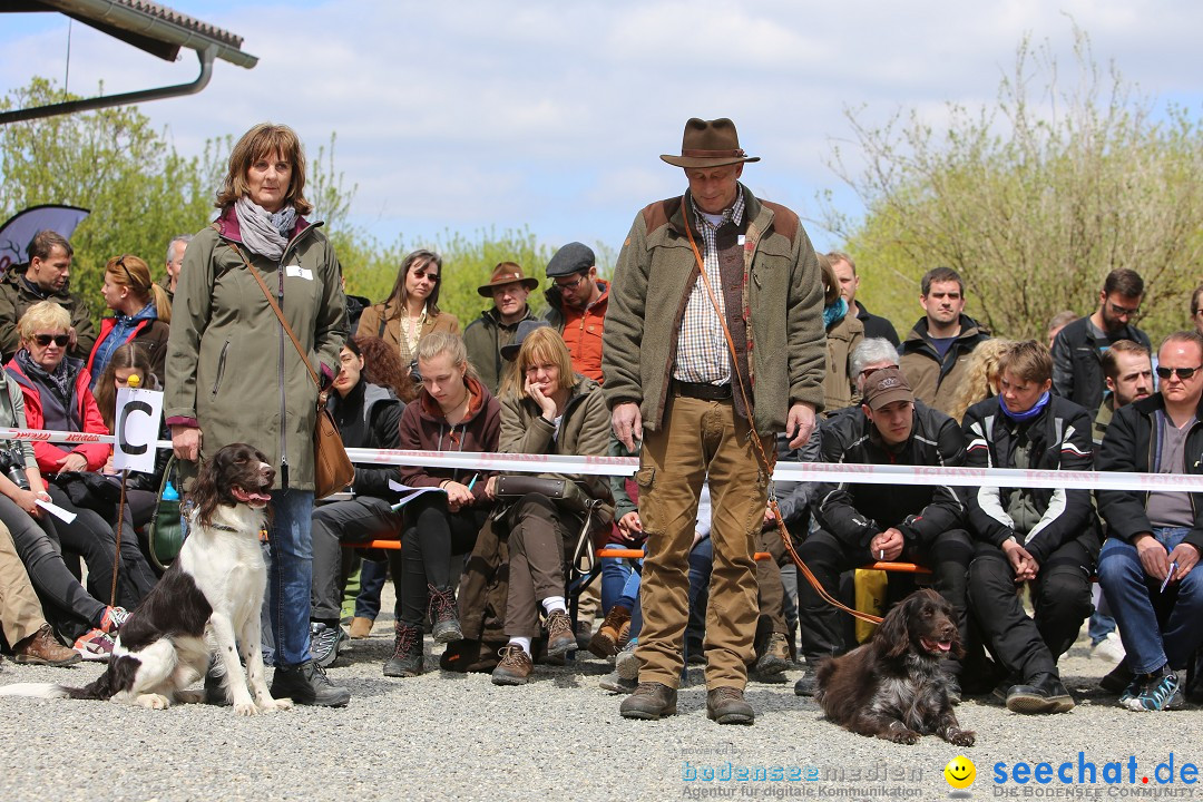 Jagdhundetag Dornsberg der Landesjagdschule: Eigeltingen, 23.04.2017