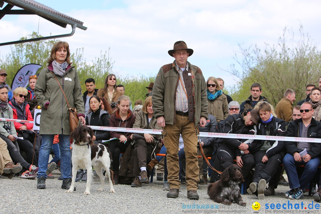 Jagdhundetag Dornsberg der Landesjagdschule: Eigeltingen, 23.04.2017