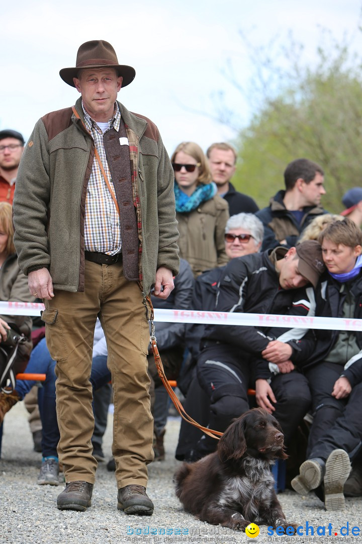 Jagdhundetag Dornsberg der Landesjagdschule: Eigeltingen, 23.04.2017