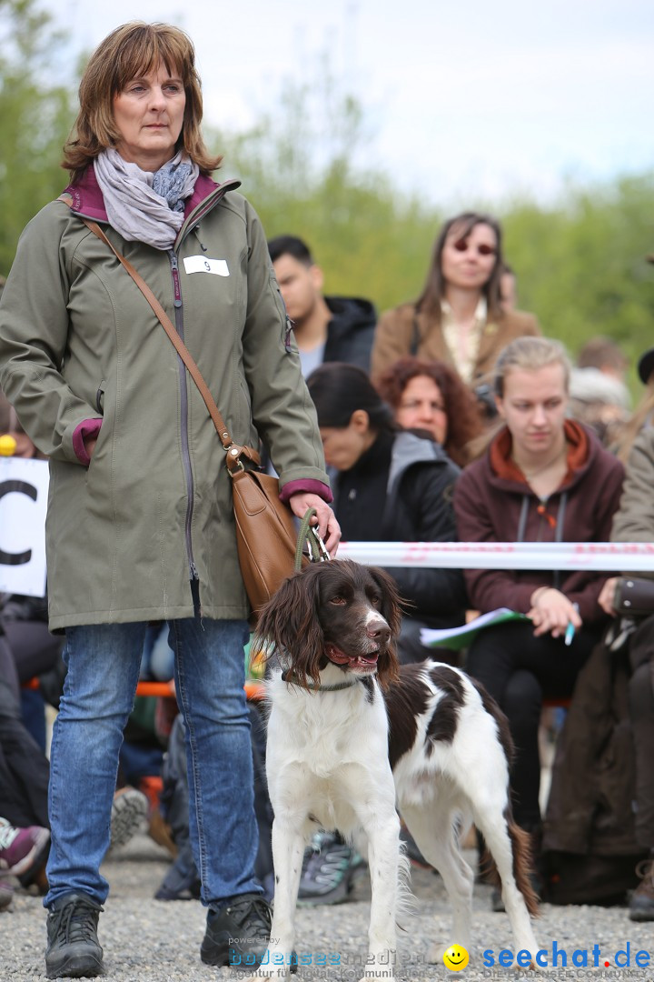 Jagdhundetag Dornsberg der Landesjagdschule: Eigeltingen, 23.04.2017