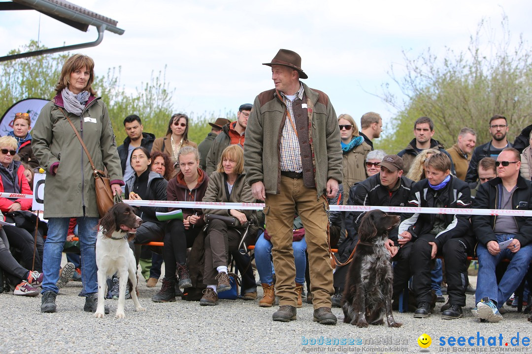 Jagdhundetag Dornsberg der Landesjagdschule: Eigeltingen, 23.04.2017