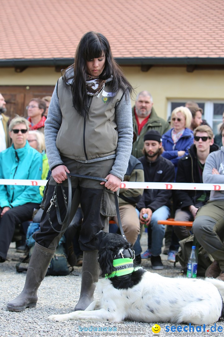 Jagdhundetag Dornsberg der Landesjagdschule: Eigeltingen, 23.04.2017